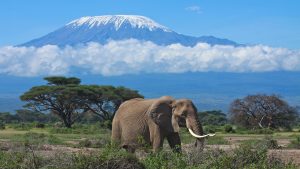 Ascensiune Kilimanjaro